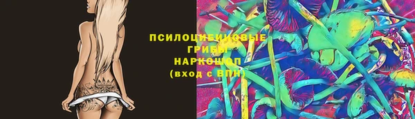 бошки Богданович